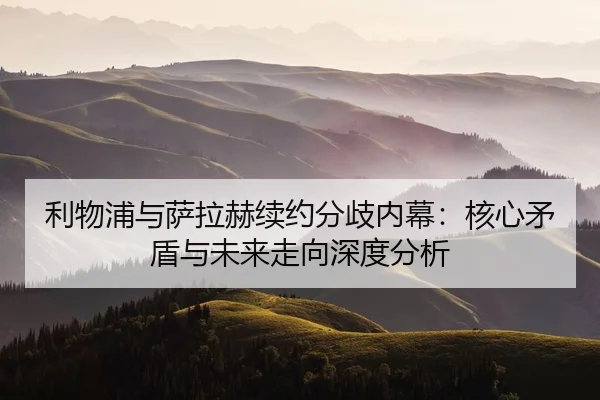 li-wu-pu-yu-sa-la-he-xu-yue-fen-qi-nei-mu-he-xin-mao-dun-yu-wei-lai-zou-xiang-shen-du-fen-xi-2-999.jpg